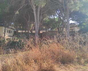 Terreny industrial en venda en Chiclana de la Frontera
