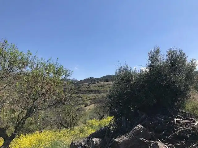 Grundstücke zum Verkauf in La Zubia
