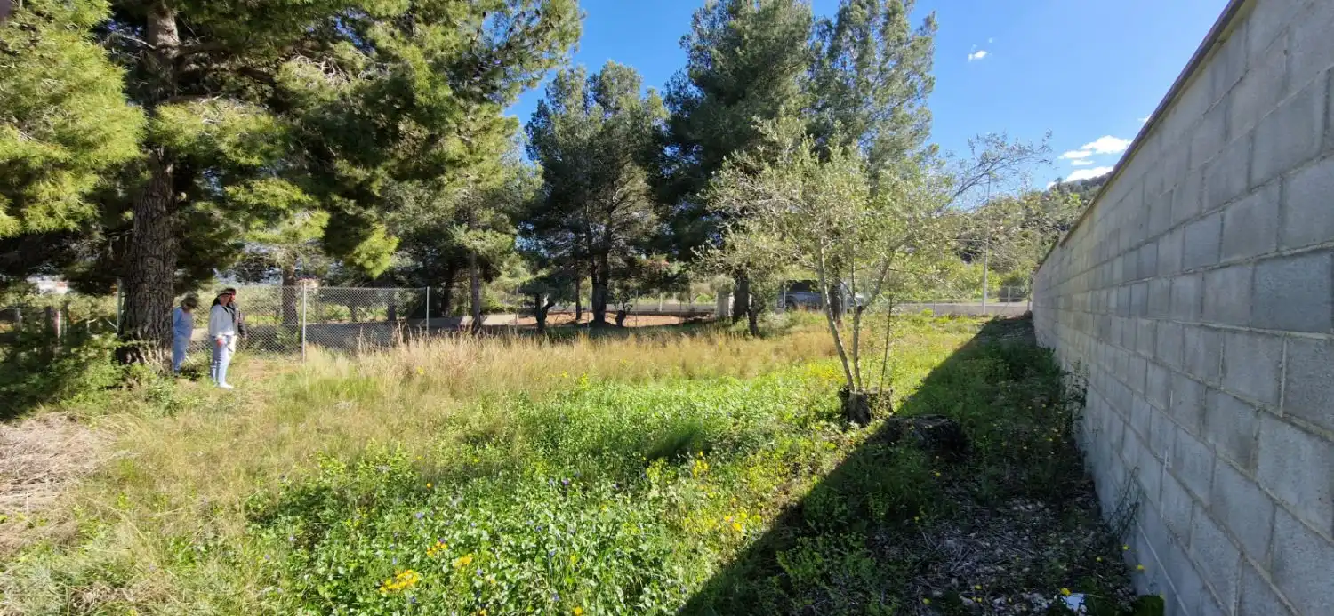 Terrenys i solars en venda a La Bisbal del Penedès, imagen 5