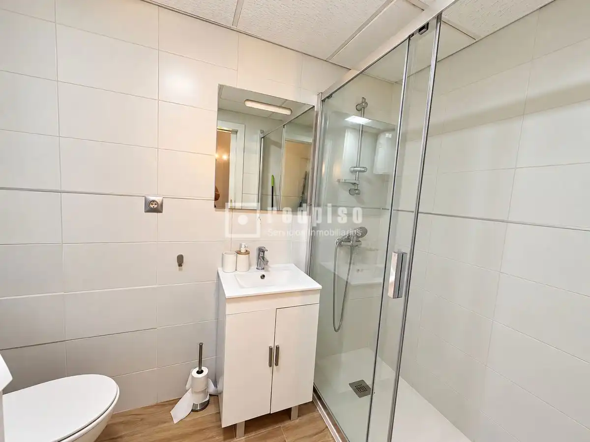 Studio with lift for sale in de los Manantiales, imagen 10