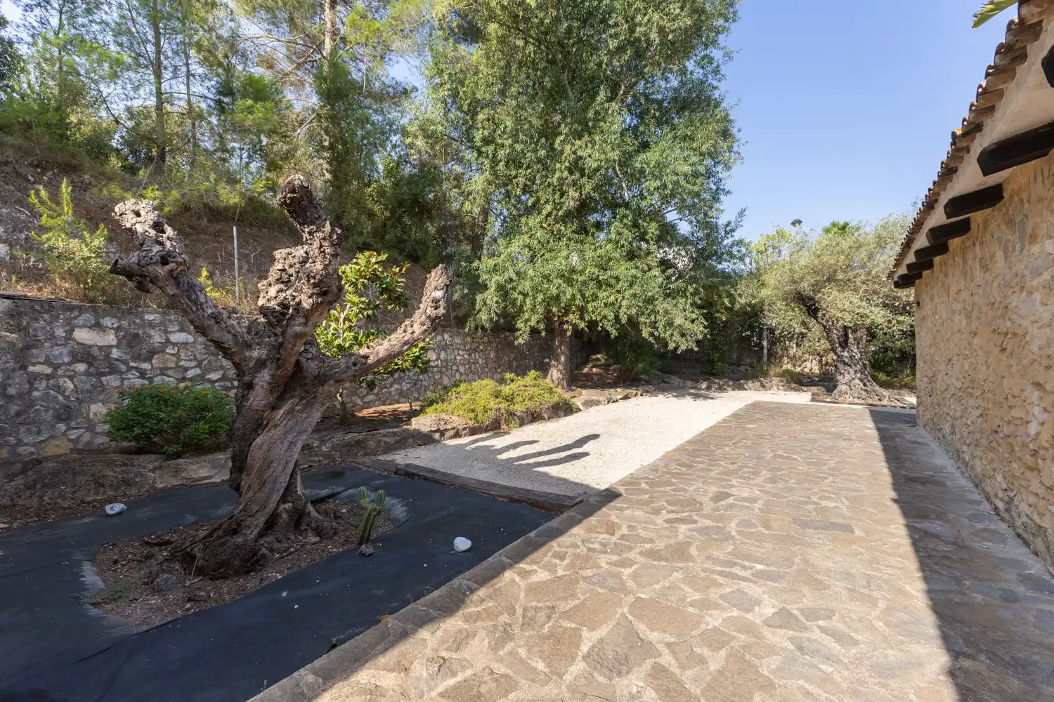 Casa amb terrassa en venda a Xàtiva, imagen 8