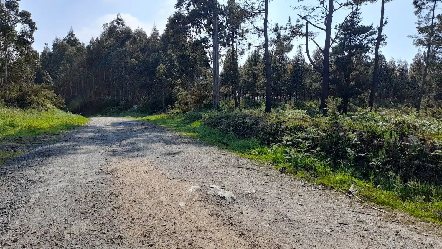 Rural land for sale in Lugar Val Arriba 3, imagen 14