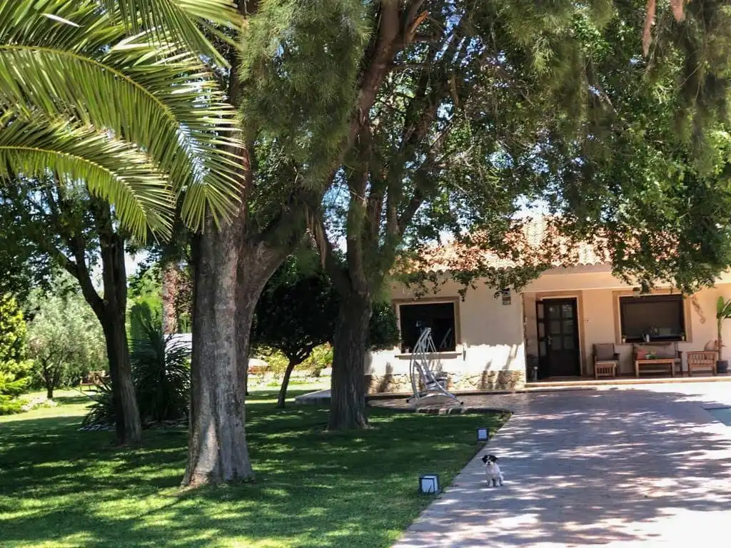 Vista exterior de Casa o chalet en venta en Elda con Aire acondicionado, Calefacción y Jardín privado