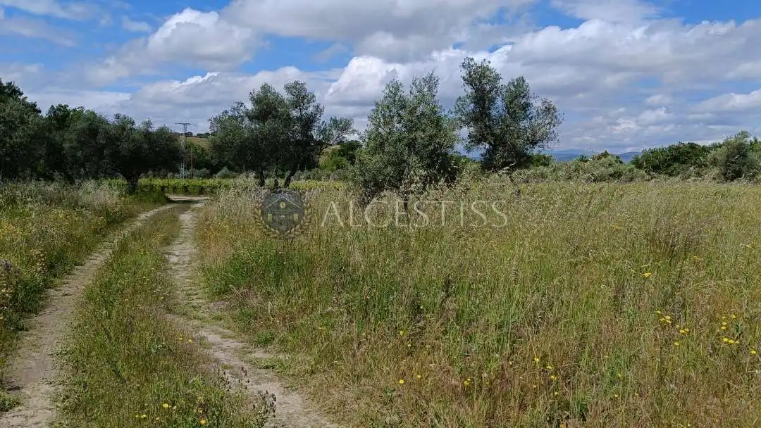 Land for sale in Méntrida