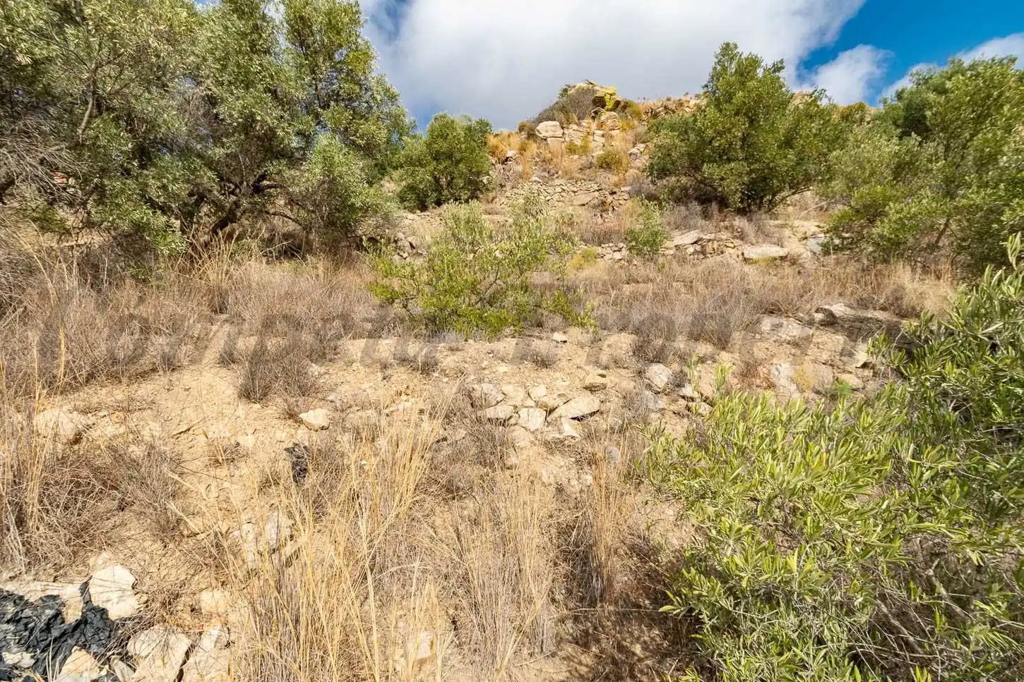 Terreno rústico en venta en Torrox Pueblo, imagen 16