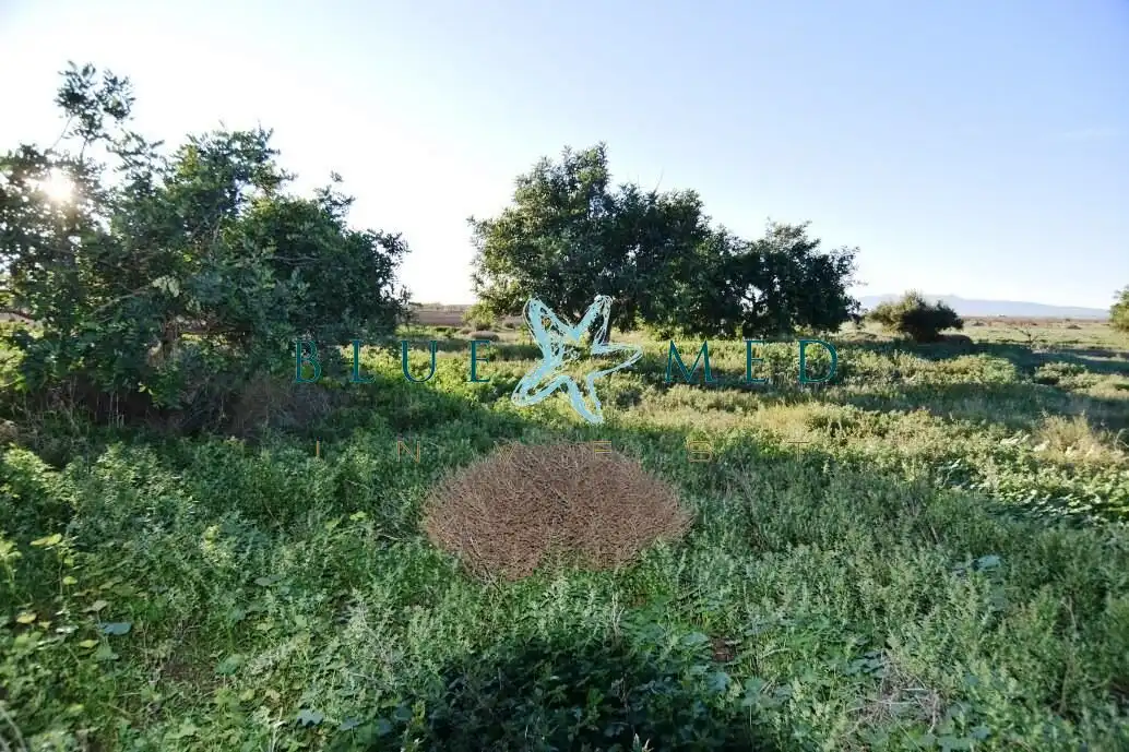Finca rústica en venta en Fuente Álamo de Murcia con Jardín privado, Terraza y Trastero