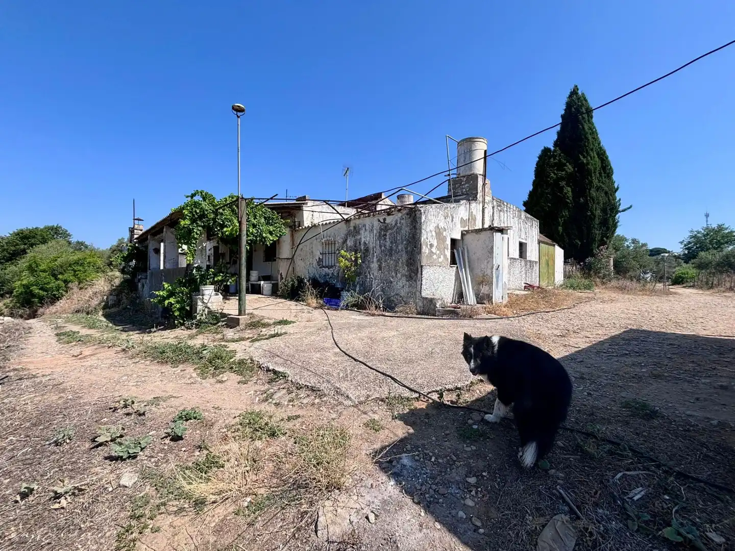 Grundstücke zum Verkauf in Arcos de la Frontera