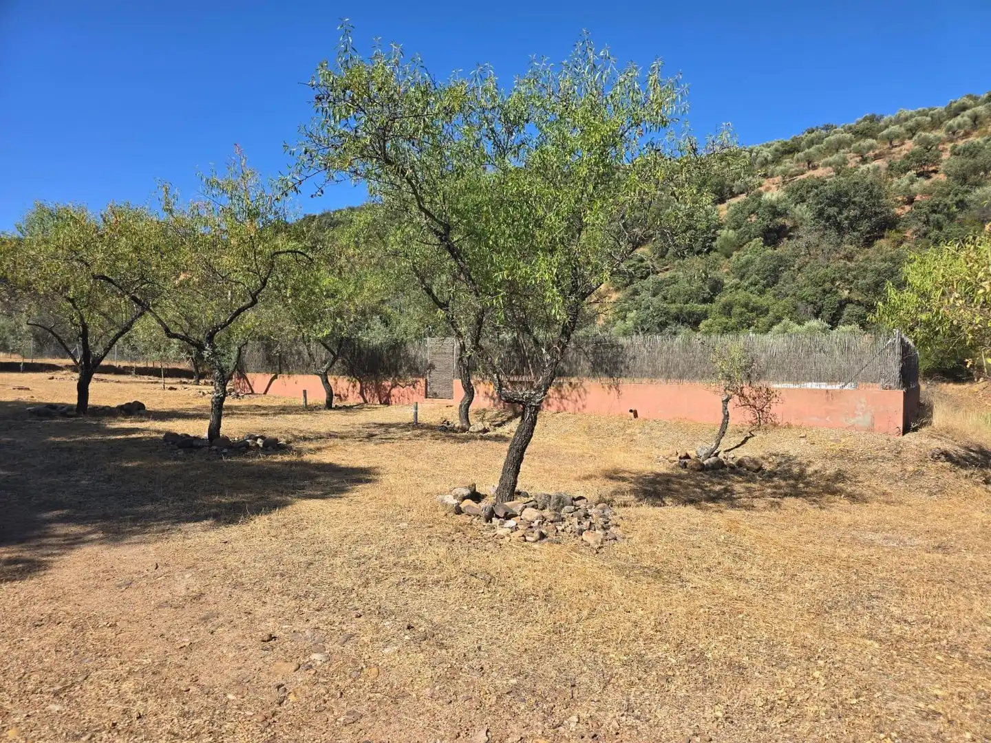 Finca rústica en venda a Belvís de la Jara