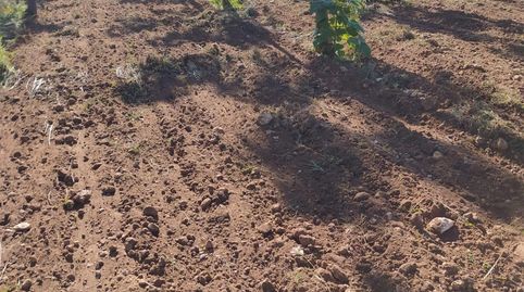 Photo 2 of Country homes for sale in Yecla, Murcia