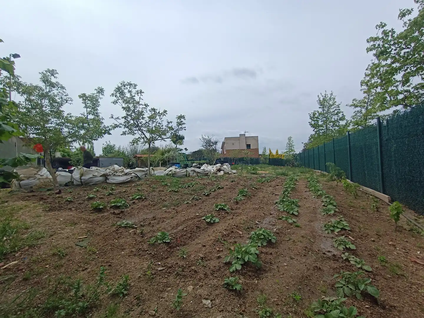 Terreno residencial en venta en Caldes de Malavella, imagen 4
