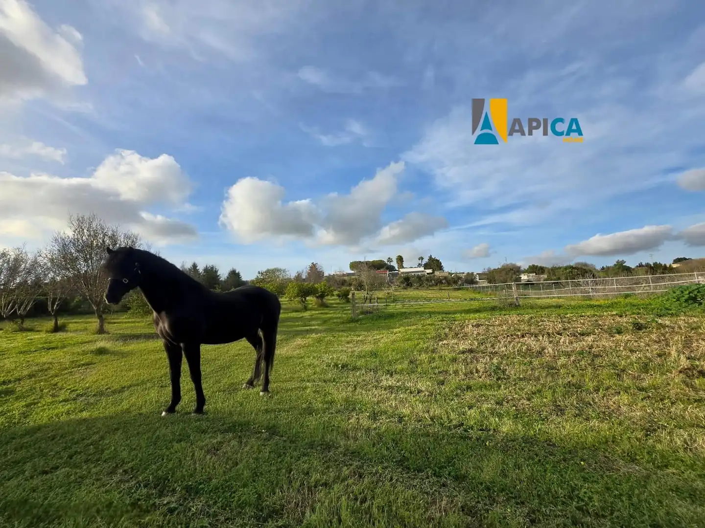 Casa o chalet en venta en Chiclana de la Frontera con Piscina