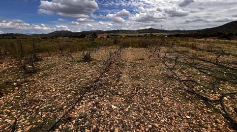 Finca Rustica en Caudete