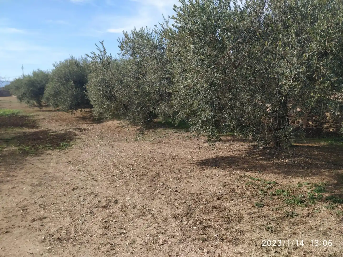 Terrenys i solars en venda a de Cambrils - Riudoms, imagen 4