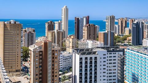 Photo 2 of Study for sale in Juan Fuster Zaragoza, Rincón Bajo, Benidorm