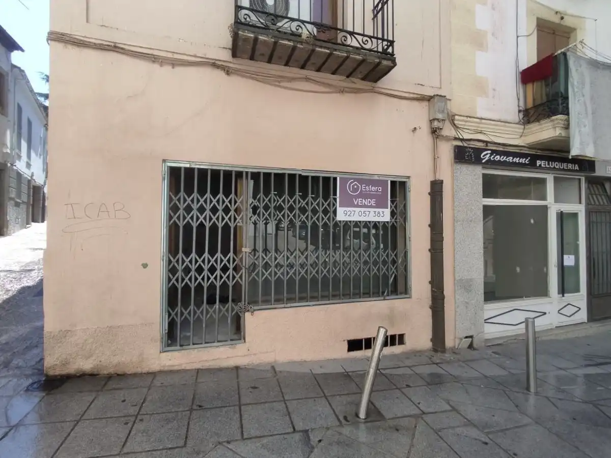 Gewerbefläche zum Verkauf in Centro Ciudad, imagen 2