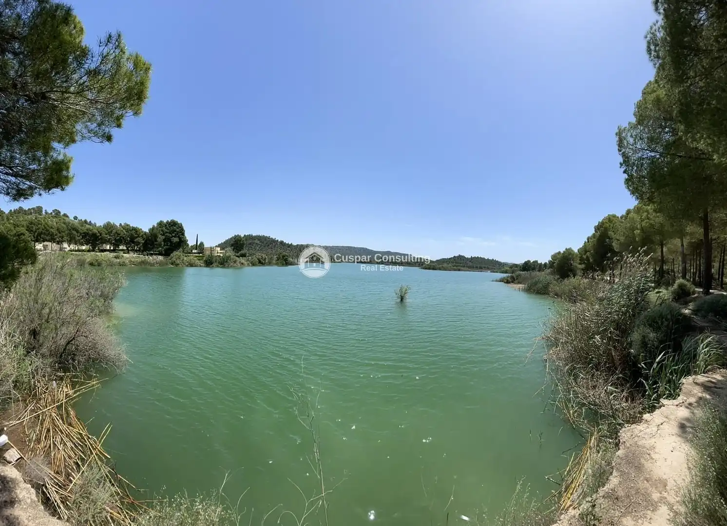 Villa avec piscine à vendre à Calasparra, imagen 9