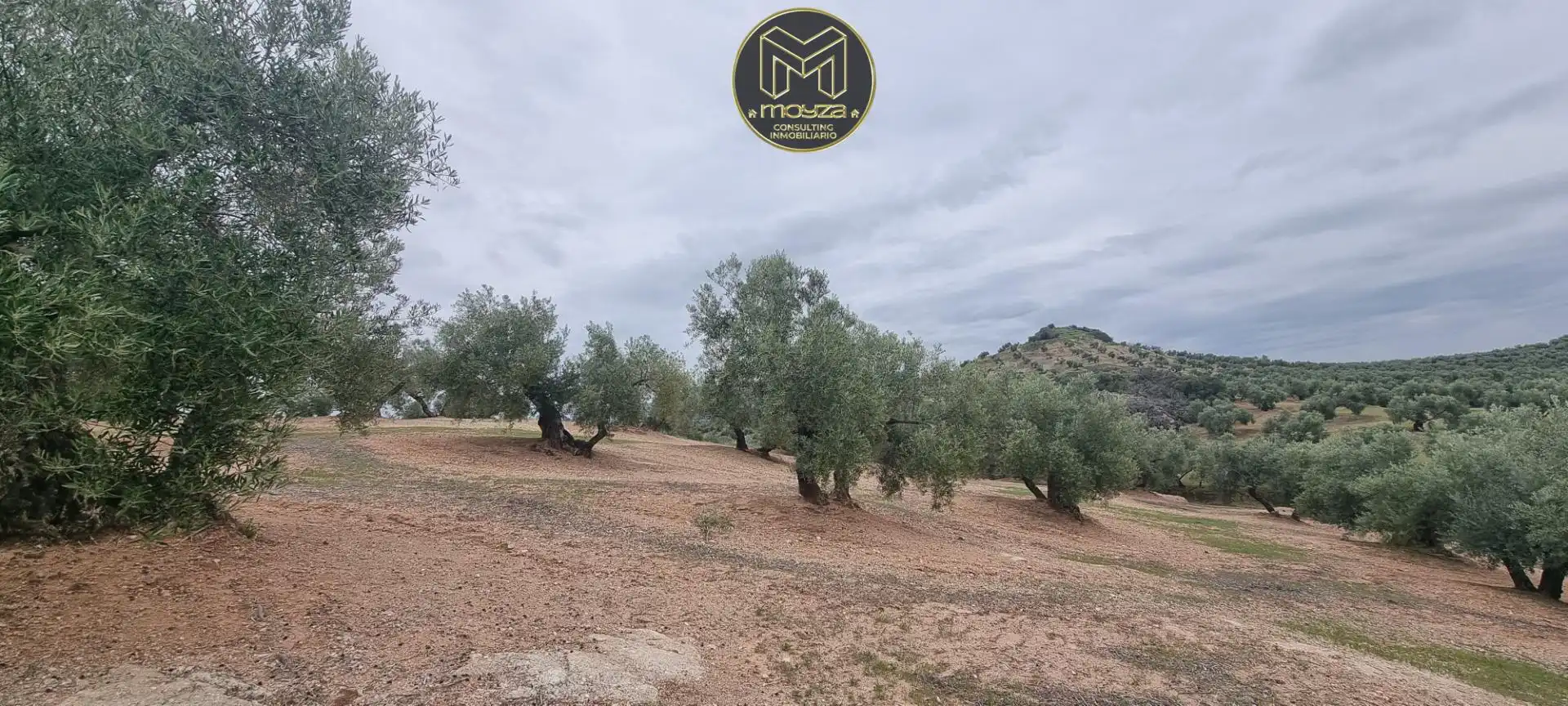 Terreni e lotti in vendita a Torredonjimeno