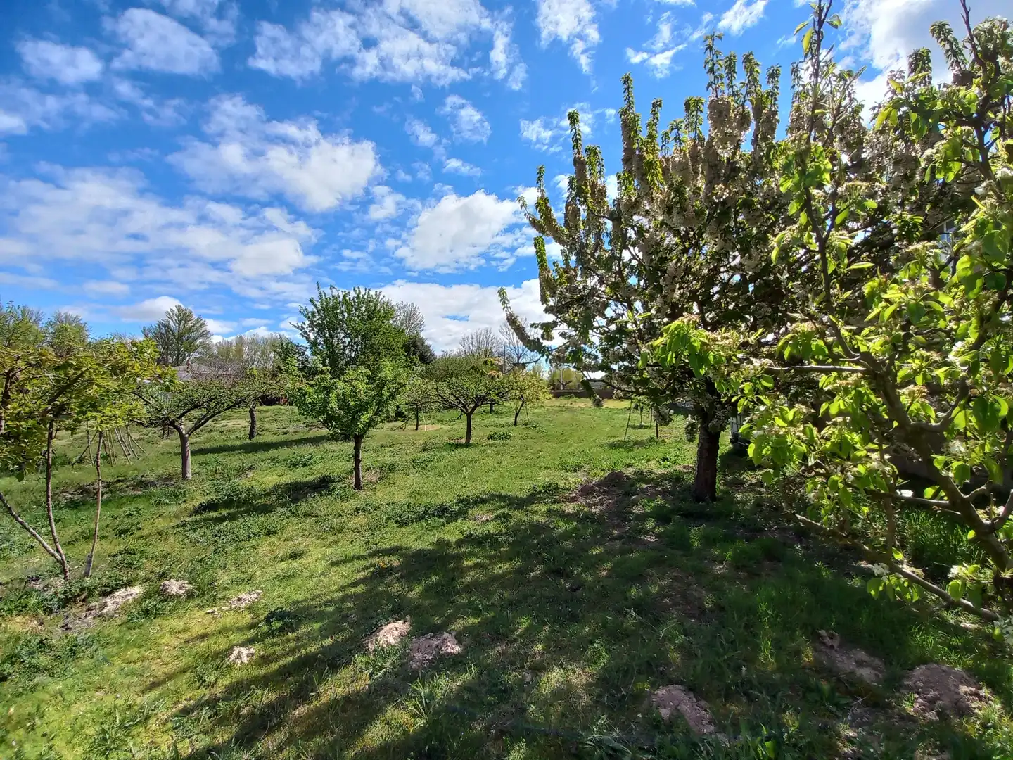Finca rústica en venta en Cayuela con Jardín privado