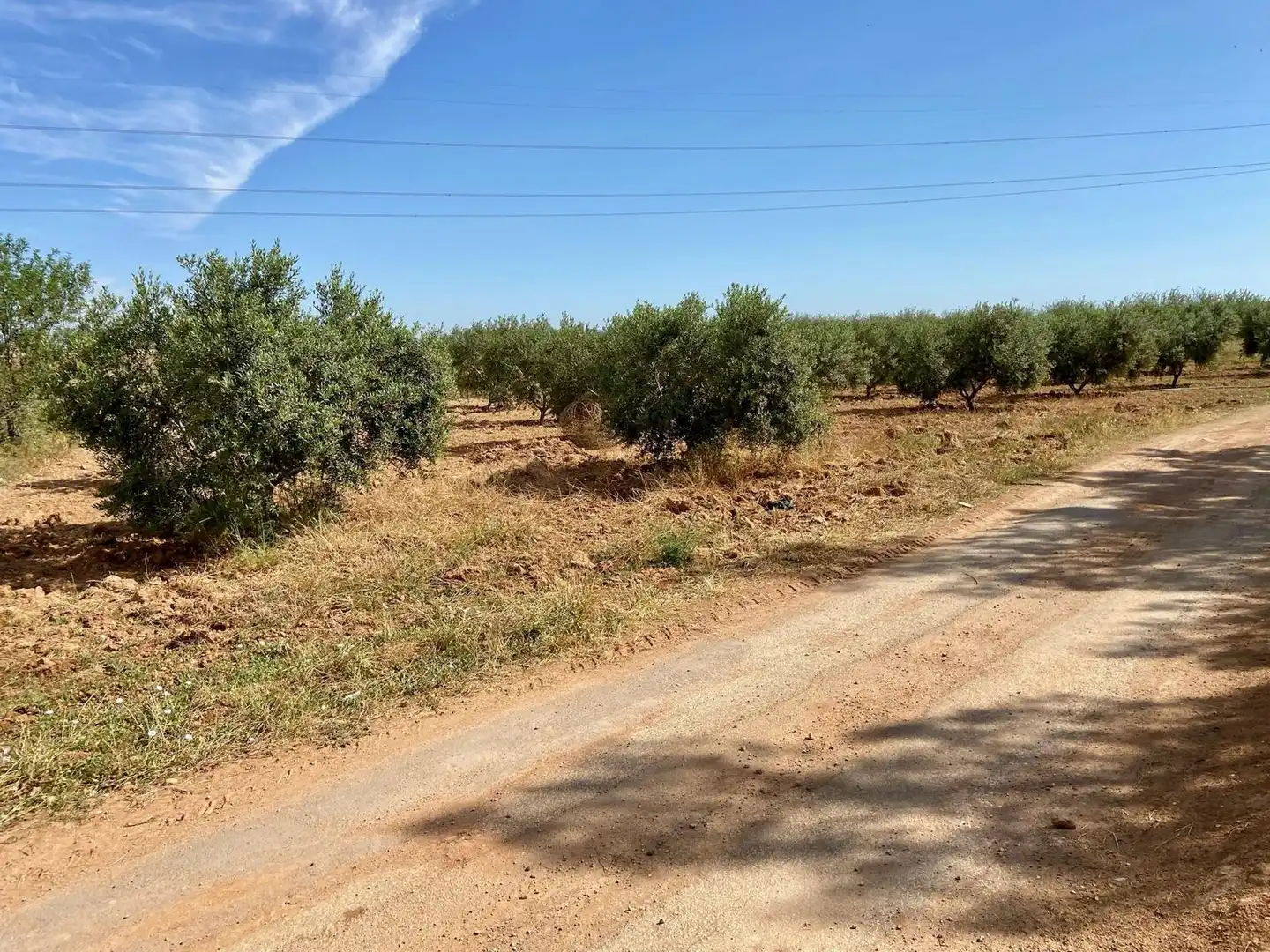 Terreno rústico en venta en Pedanías Oeste, imagen 17