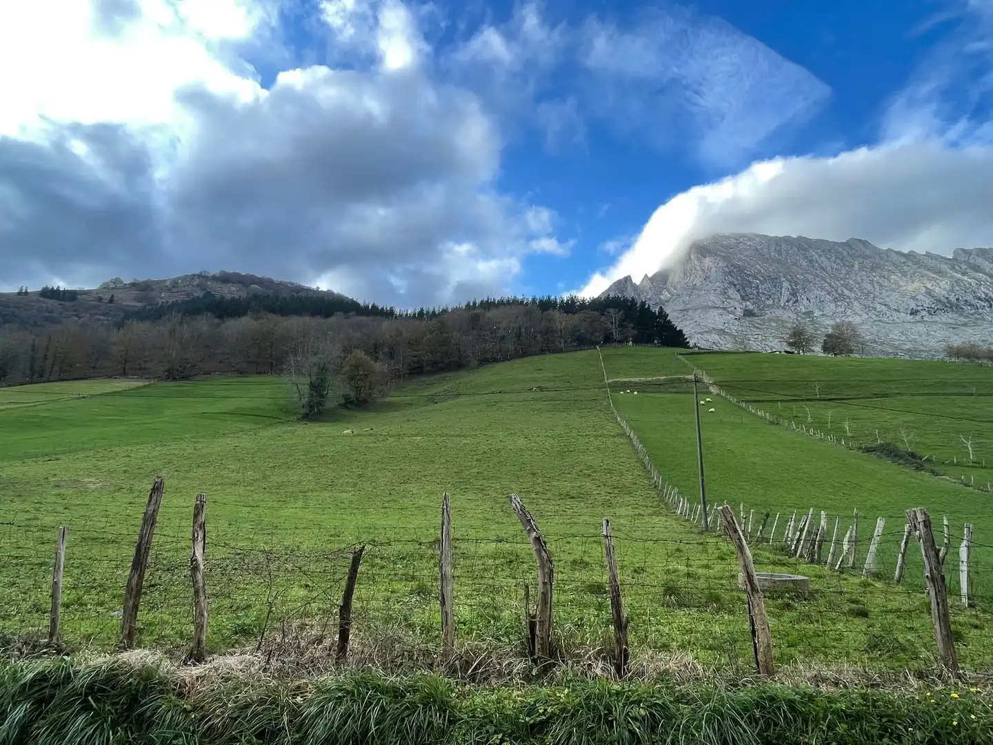 Vista exterior de Finca rústica en venta en Atxondo con Jardín privado