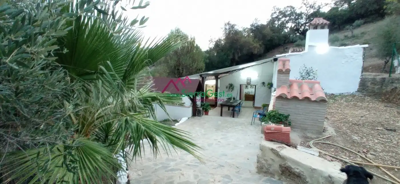 Terreni e lotti in vendita a Benaocaz, imagen 3
