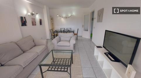 Photo 5 of Study to share in Centro, Madrid