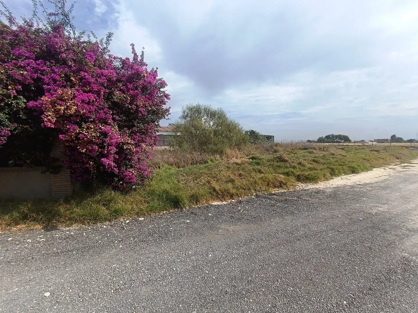 Terreno rustico in vendita a Ctra Sanlúcar - Cuatro Pinos, imagen 4