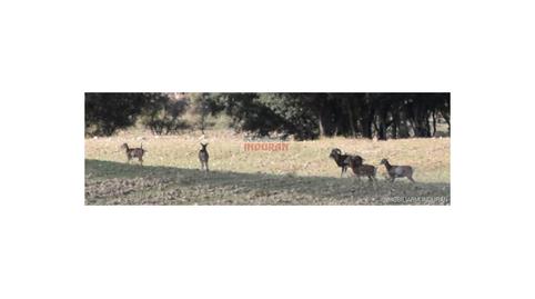 Foto 3 de Casa o chalet en venta en Víllora, Cuenca