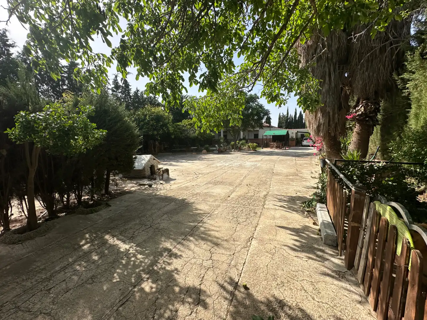Lands and plots for sale in Centro, imagen 40