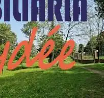 Piso con terraza en venta en Artatza - Pinueta - Pinosolo, imagen 22