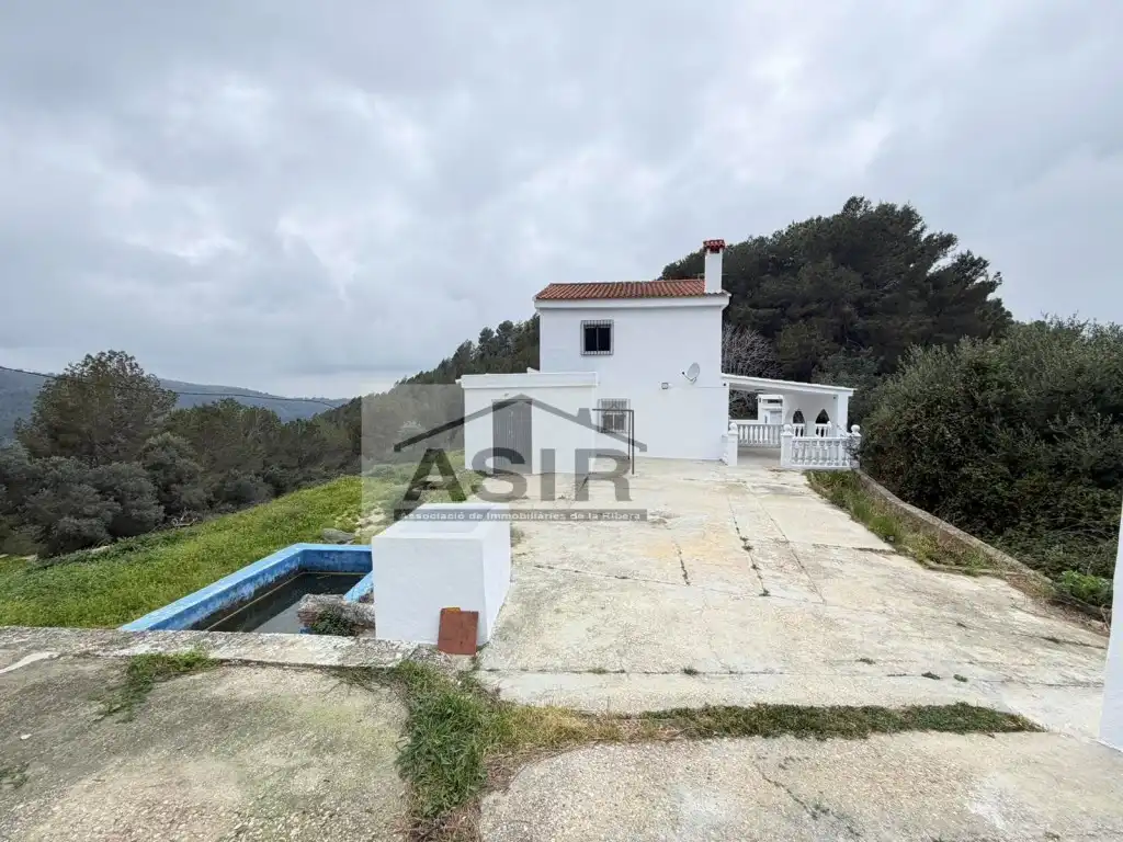 Exterior view of Houses for sale in Alzira