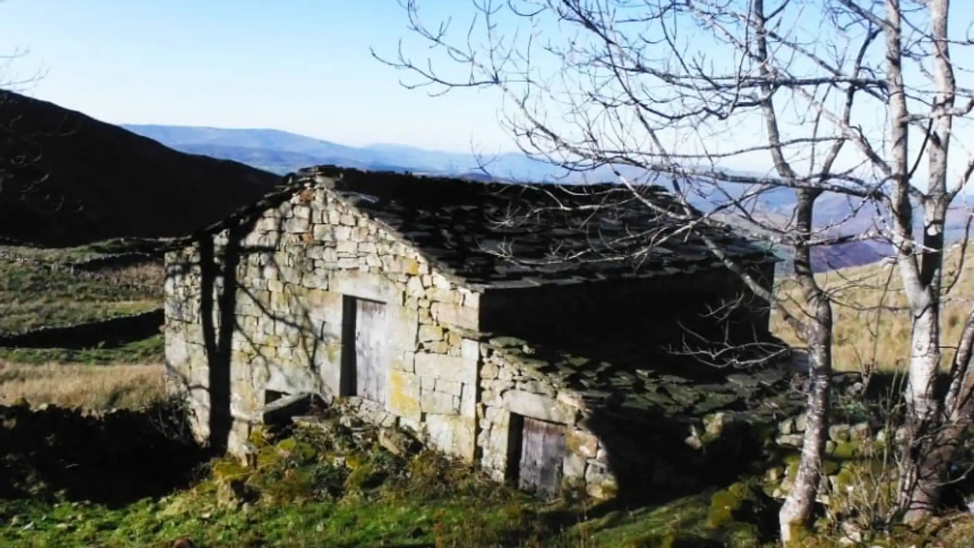 Vista exterior de Casa o chalet en venta en San Pedro del Romeral con Jardín privado