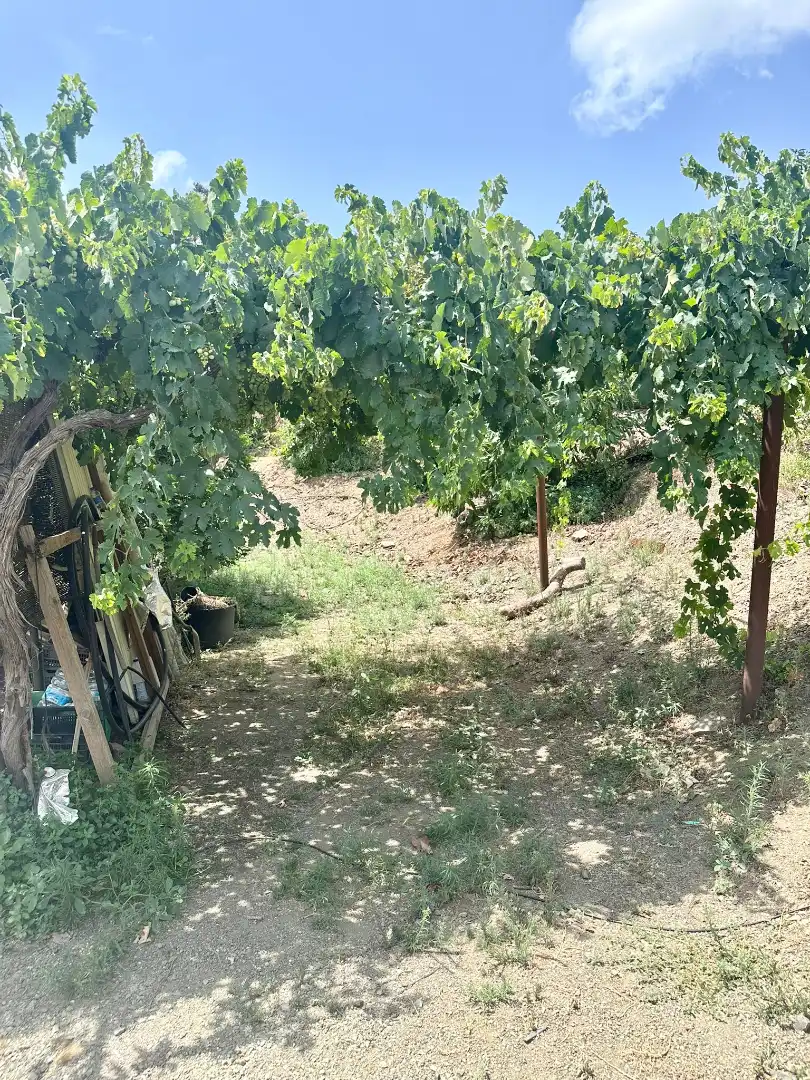 Country homes for sale in Benamocarra  with Private garden, Storage room and Swimming Pool