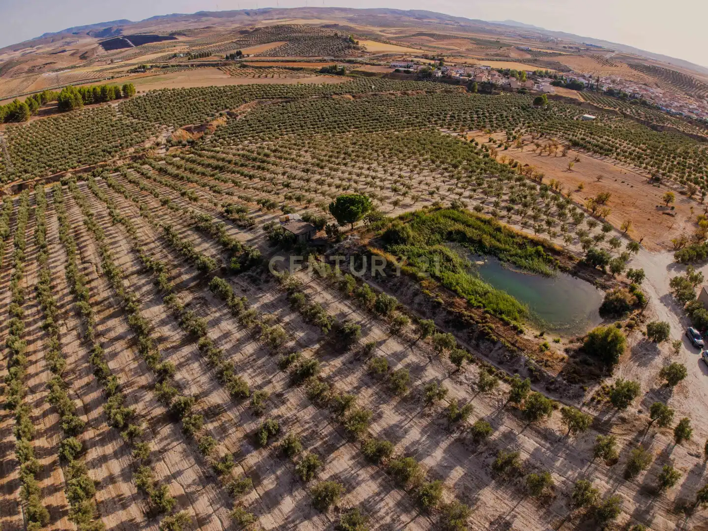 Terreno rústico en venta en 472M+GF La Malahá, Spain, imagen 6