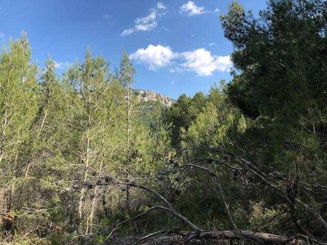 Terreno en Venta en Cornudella de Montsant