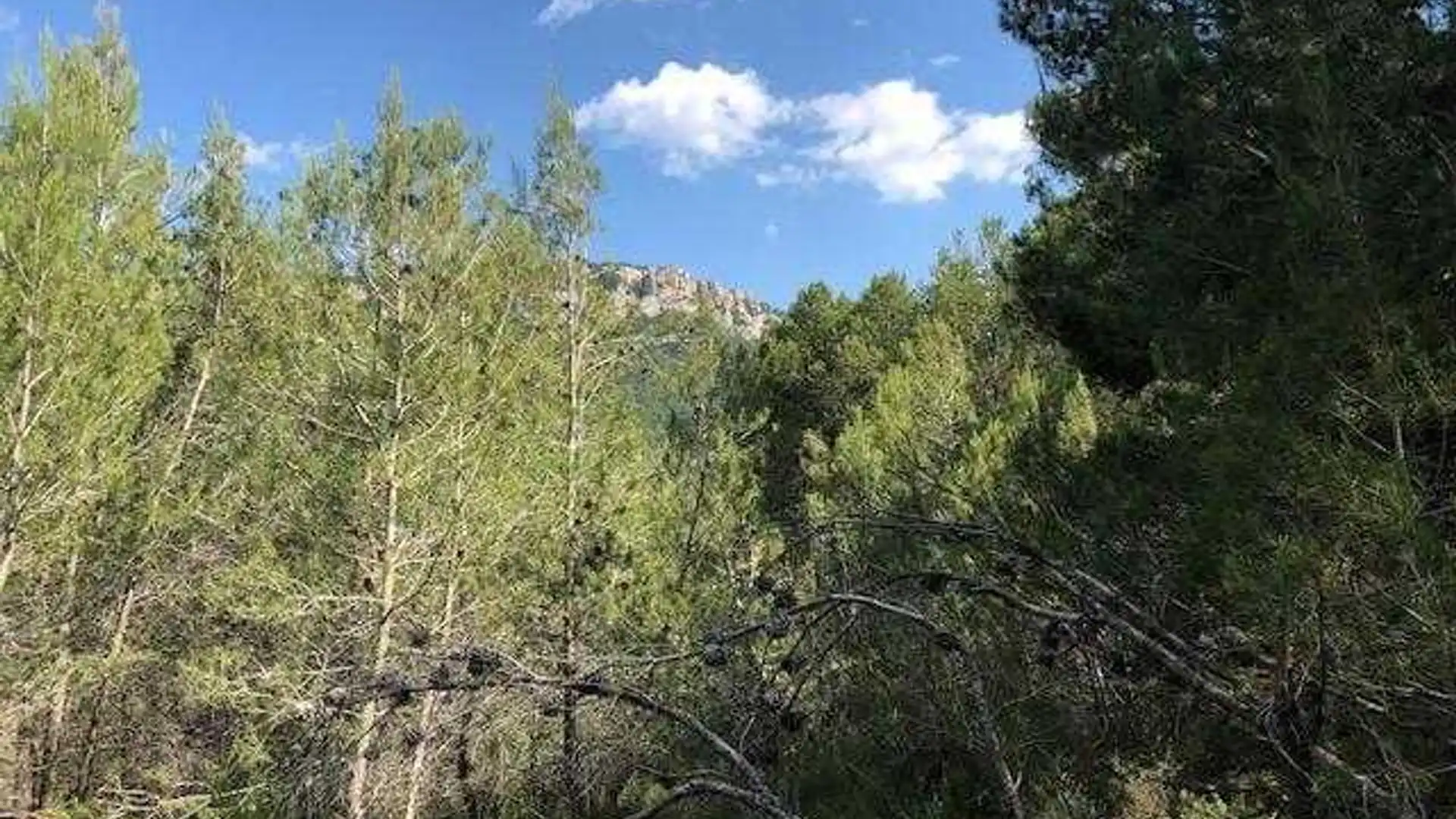 Terreno en venta en Cornudella de Montsant