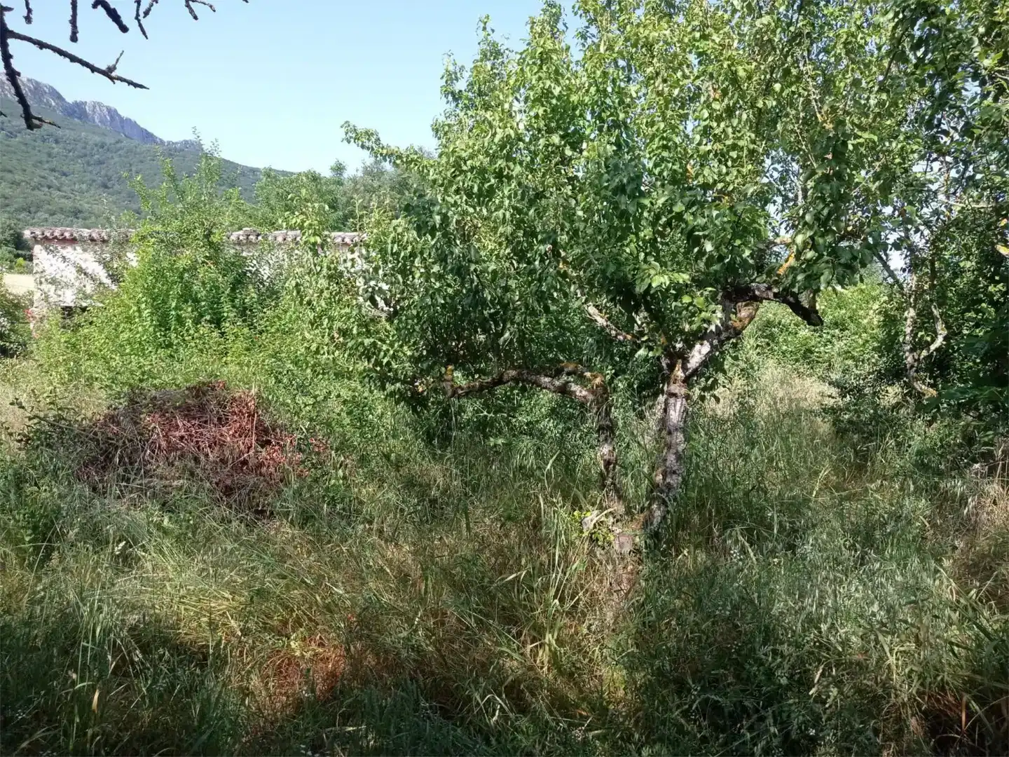 Residencial en venda en Marañón, Navarra