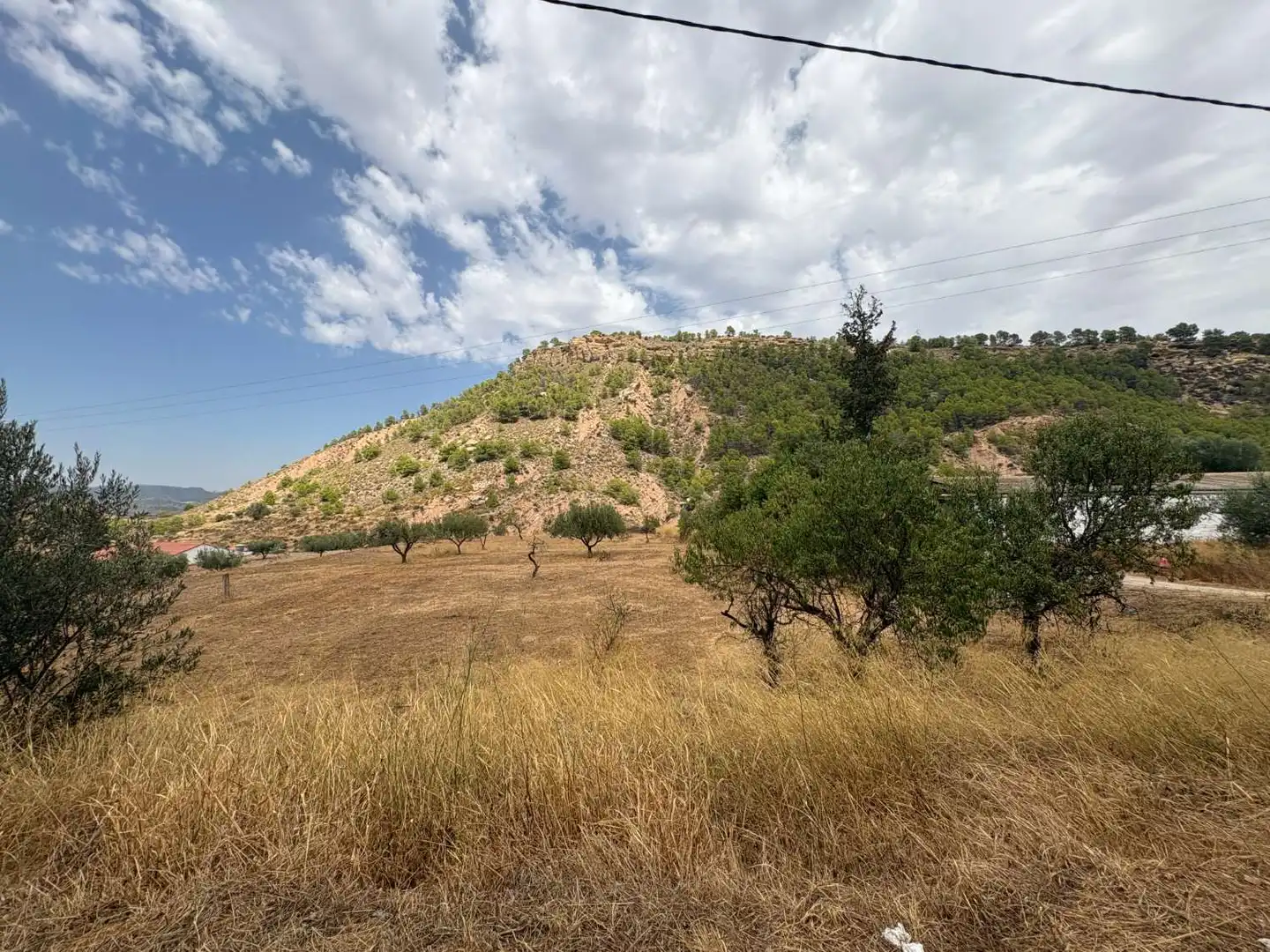 Terrenos y solares en venta en Pliego, imagen 3