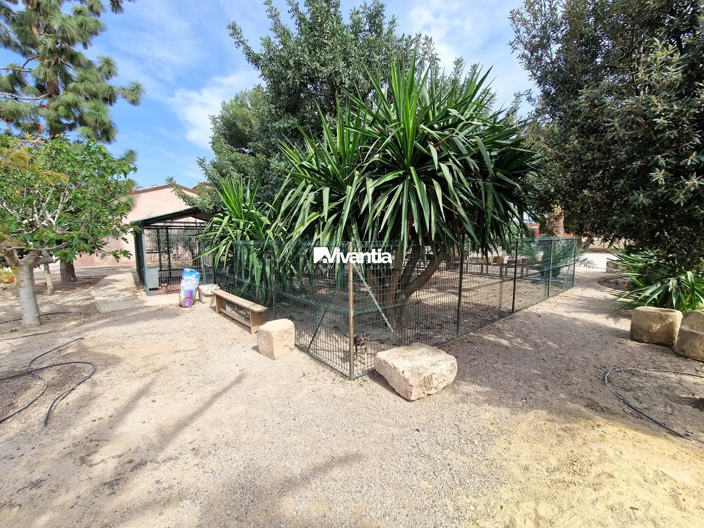 Detached house with pool for sale in Pedanías Centro, imagen 23