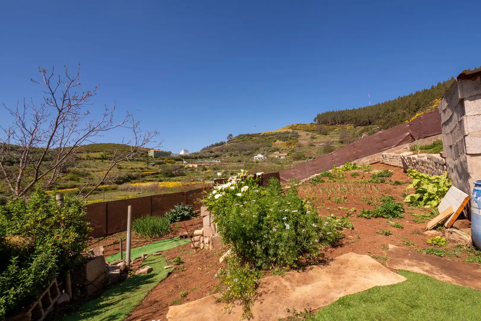 Jardí de Casa o xalet en venda en Vega de San Mateo amb Calefacció, Jardí privat i Terrassa