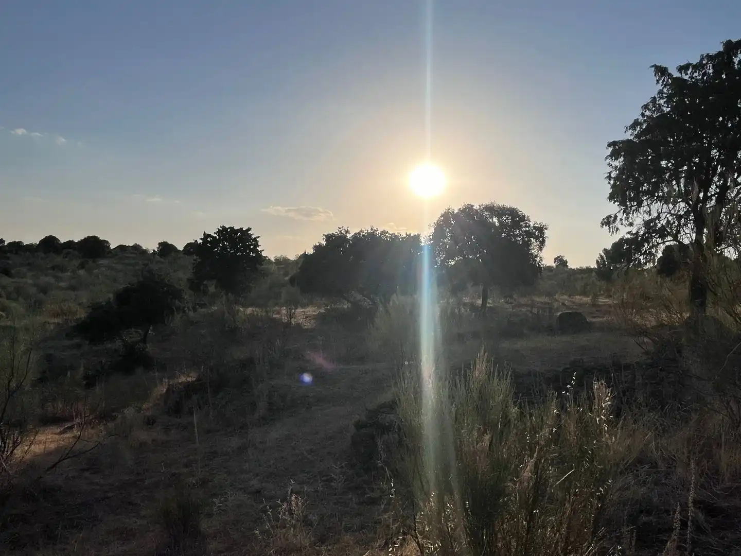Terrain rustique à vendre à Colmenarejo, imagen 12