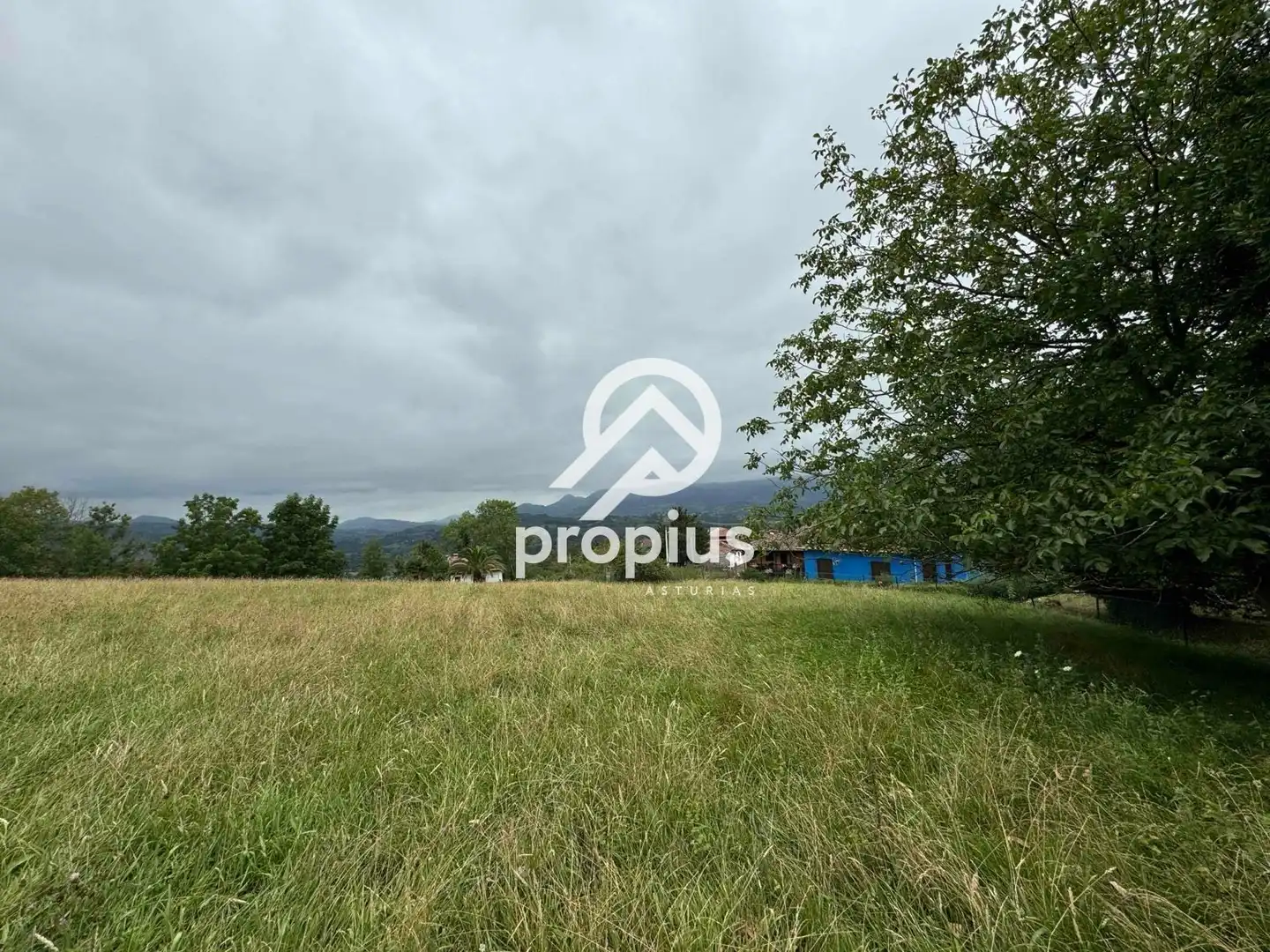 Rural land for sale in Arenas, imagen 28