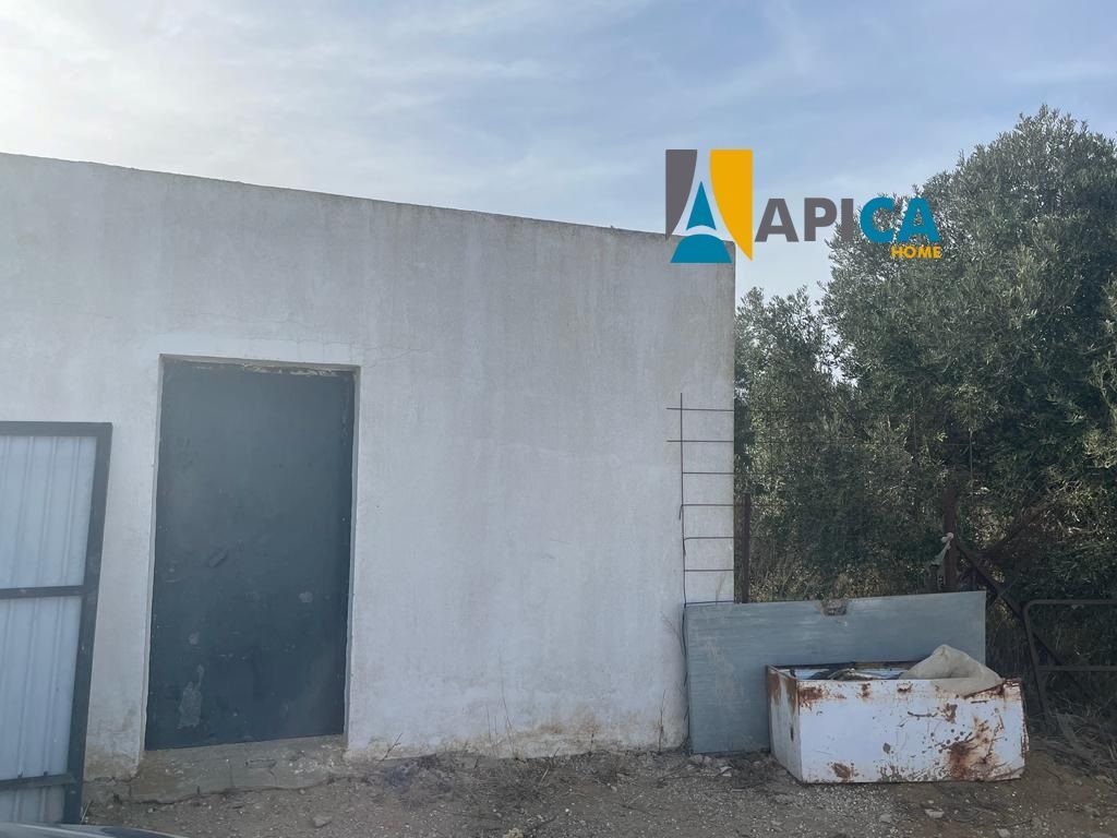 Exterior view of House or chalet for sale in Conil de la Frontera