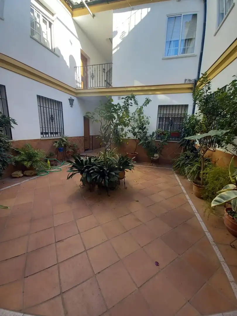 Apartment with terrace to rent in Centro, imagen 18