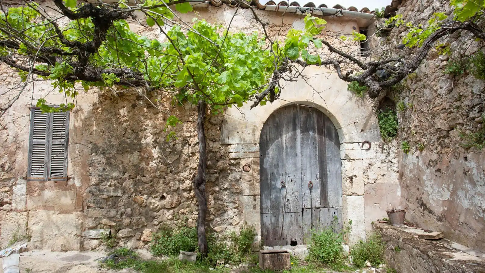 Casa rústica amb jardí en venda a Pollença Poble, imagen 10