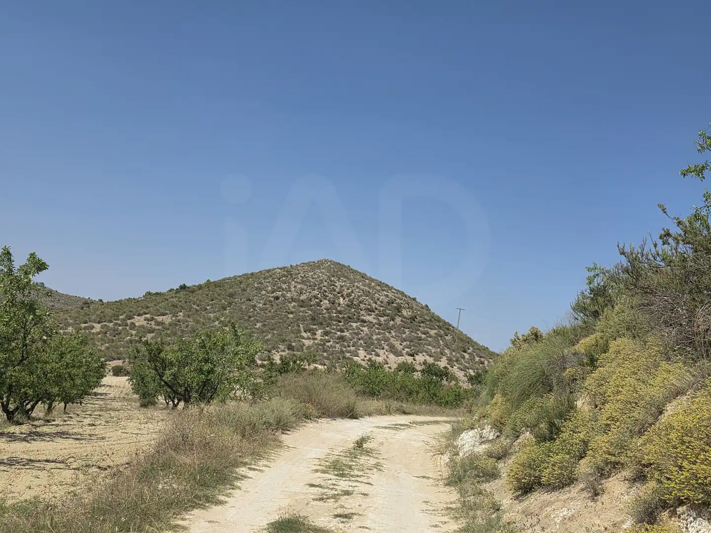 Terrenys i solars en venda a Cehegín, imagen 11