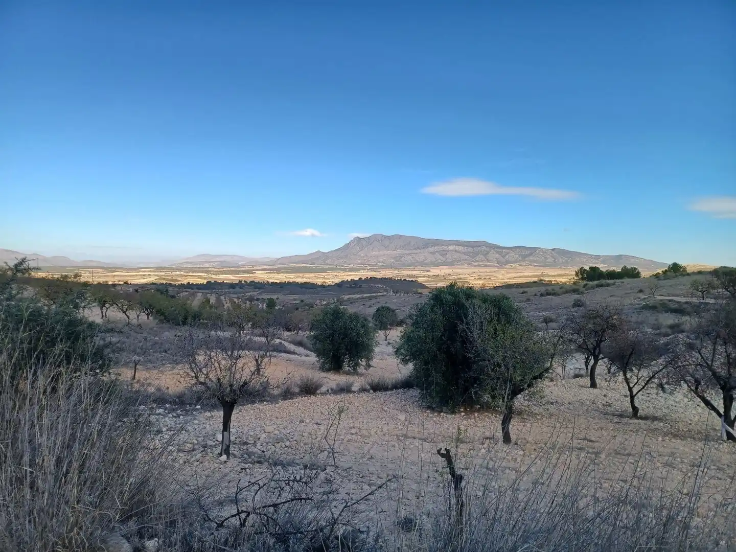Casa rustica in vendita a Jumilla, imagen 7