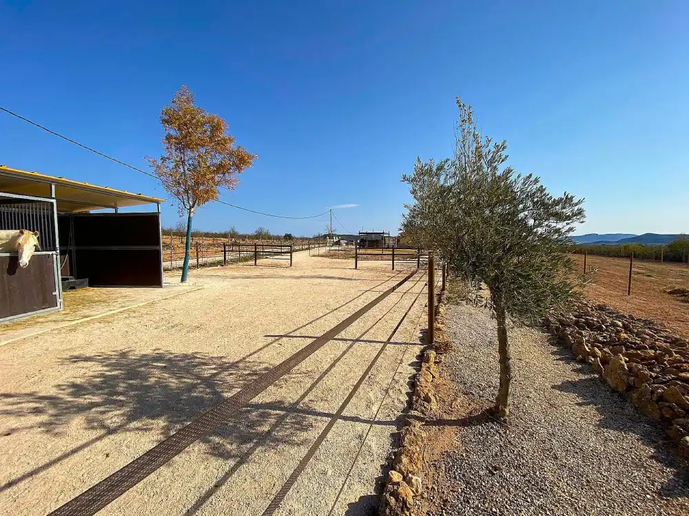 Casa o chalet en venta en El Pinós / Pinoso