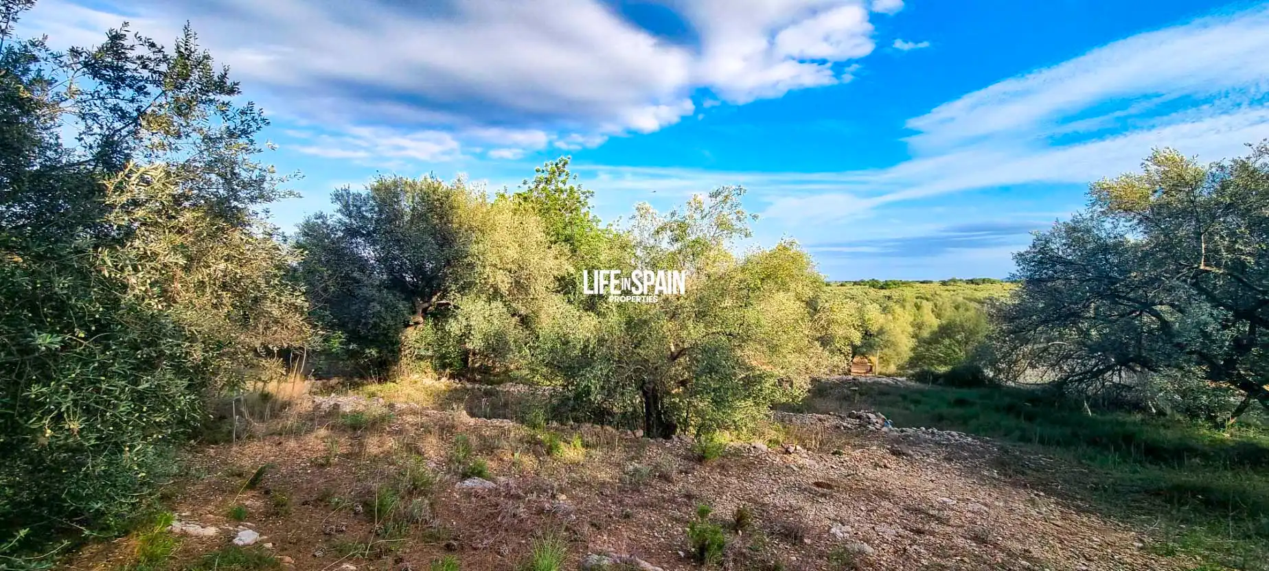 Finca rústica en venda en Roquetes amb Jardí privat i Piscina
