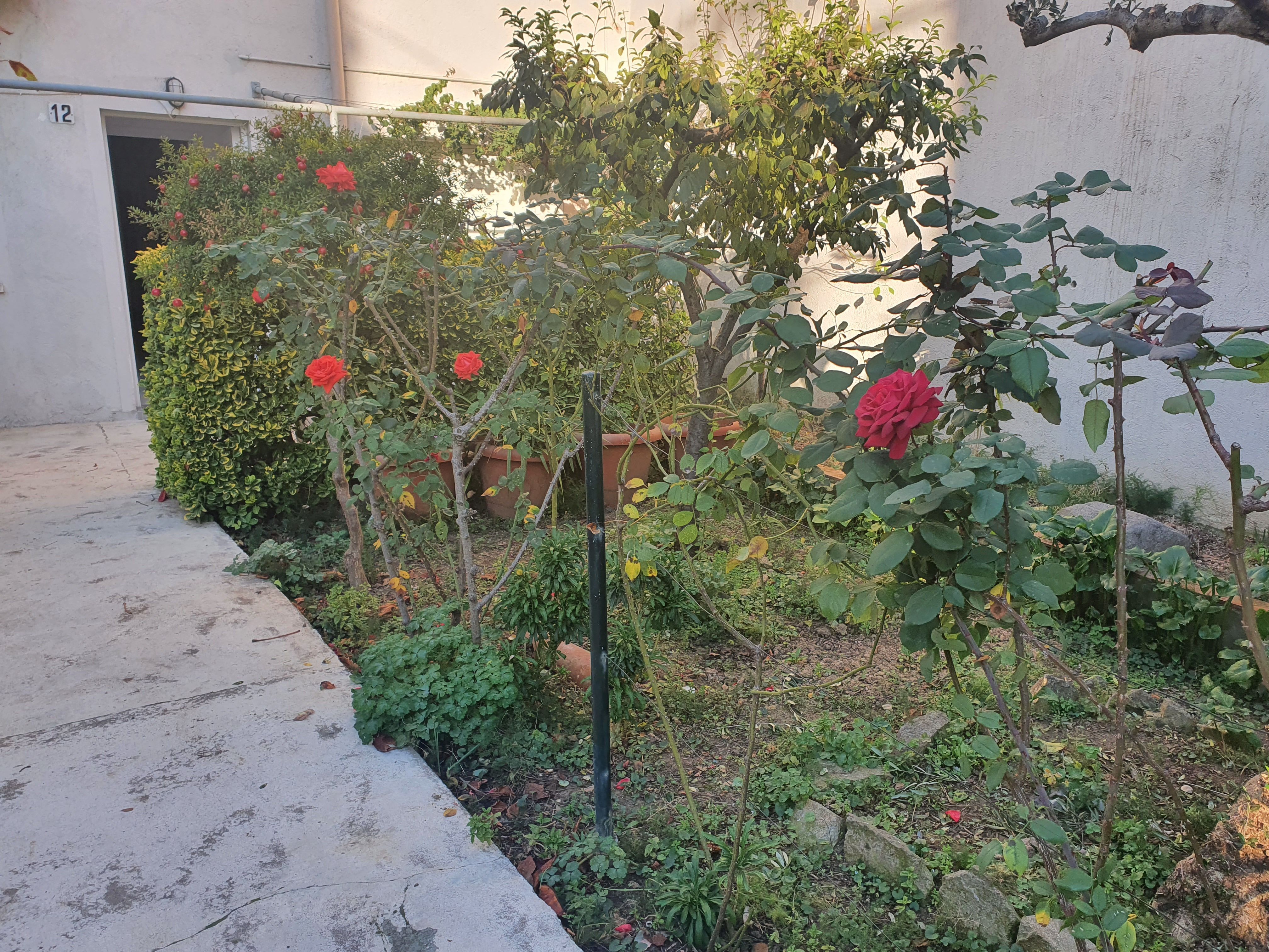 Garden of House or chalet to rent in Mollet del Vallès  with Heating, Parquet flooring and Furnished